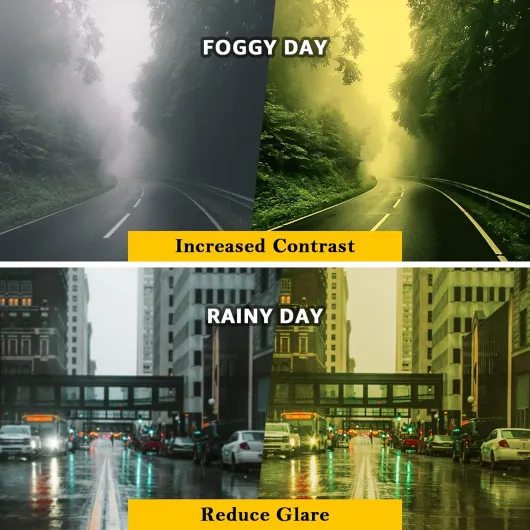 81BbGjaDynL._AC_SL1500_