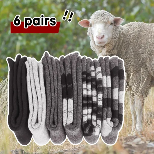 81HE6EDpngL._AC_SL1500_