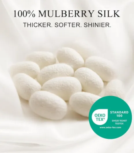 61W09rPsEzL._AC_SL1500_