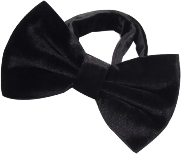 61Y ViQzTeL._AC_SL1001_