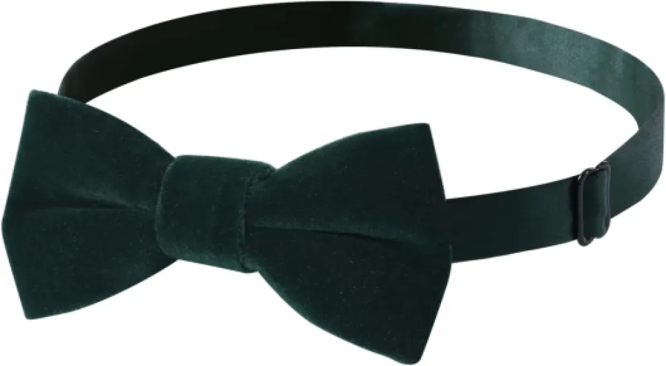 51qgDu-81eL._AC_SL1500_