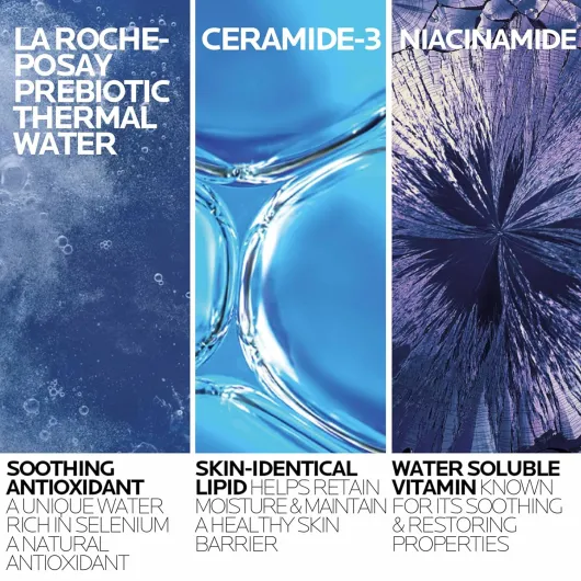 La Roche-Posay Toleriane Hydrating Gentle Face Cleanser, Hydrating Facial Cleanser With Niacinamide + Ceramides, Daily Face Wash For Dry Skin To Normal Skin, Sensitive Skin Tested, Fragrance Free 13.52 Fl Oz (Pack of 1) 13.52 Fl Oz (Bottle)