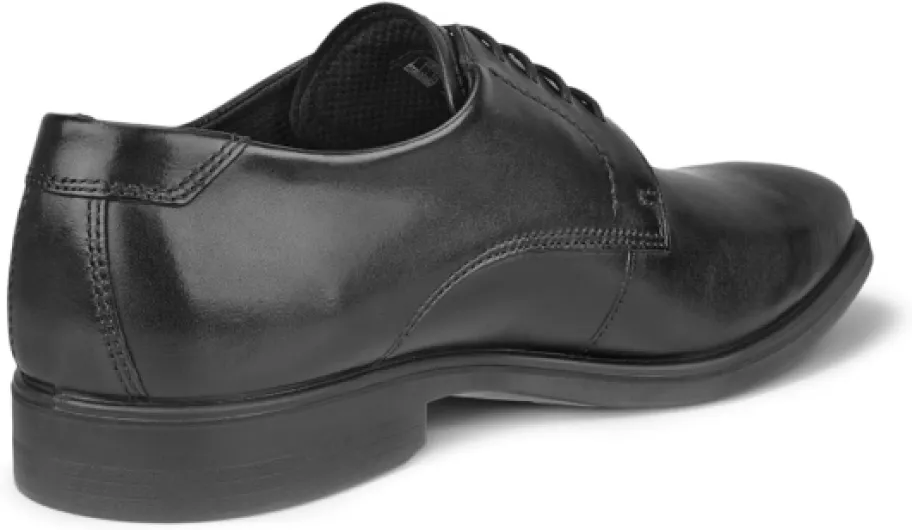 61gpLQFnZdL._AC_SL1500_