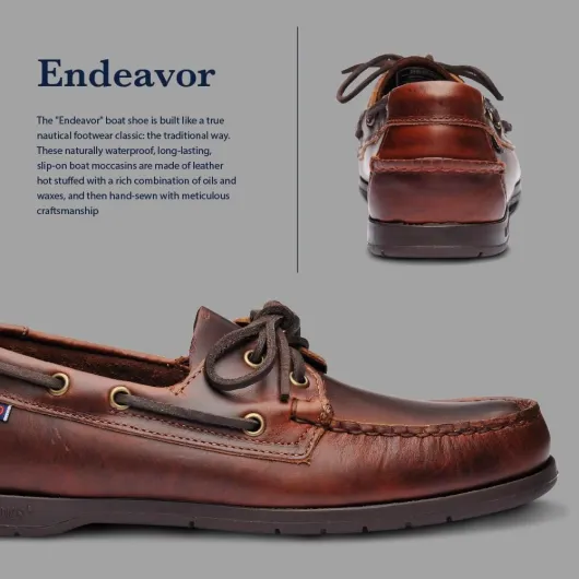 61y-1ly1dZL._AC_SL1000_