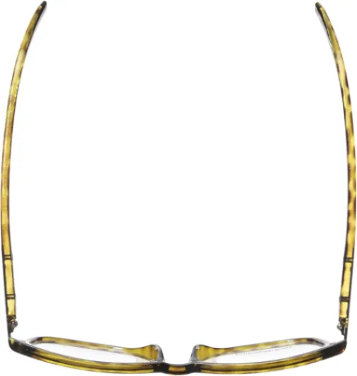 61b61R1ztuL._AC_SL1500_